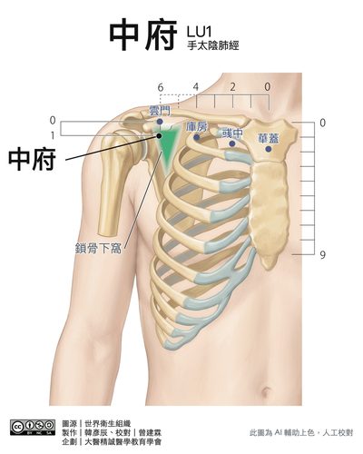中府 LU1