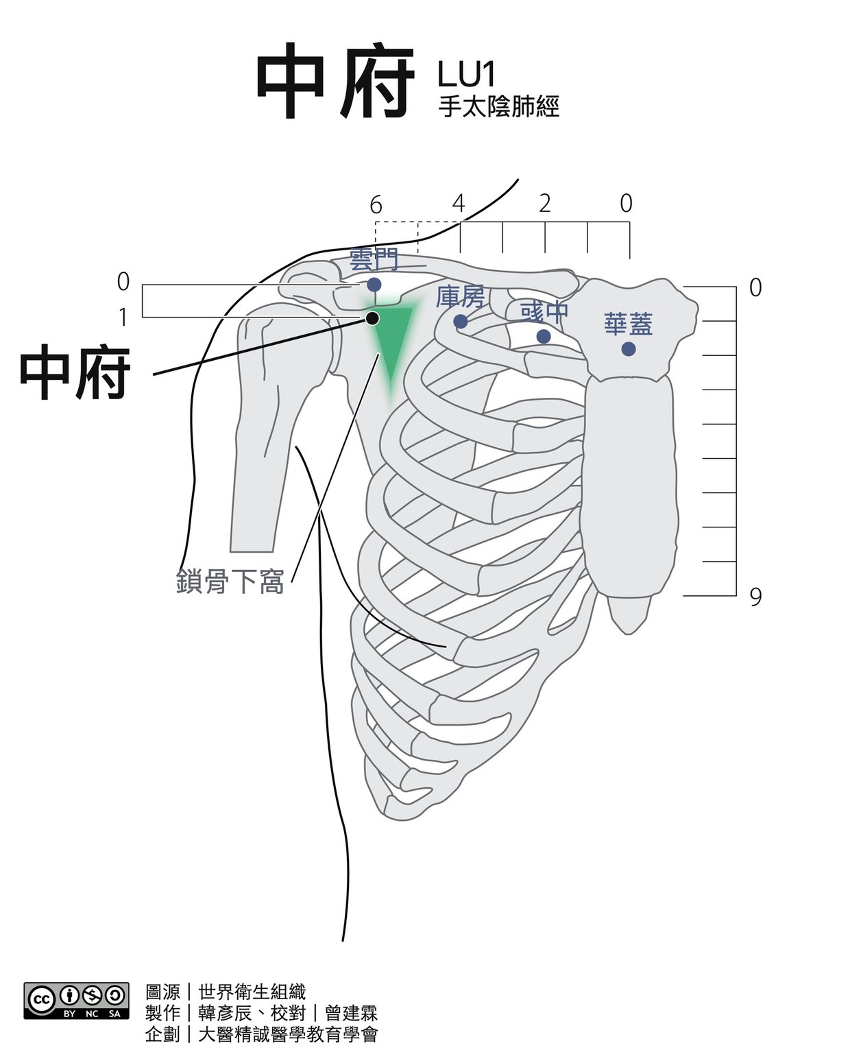 中府 LU1 穴位圖 黑白版