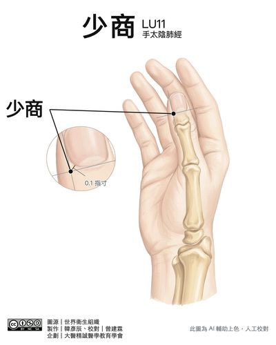 少商 LU11