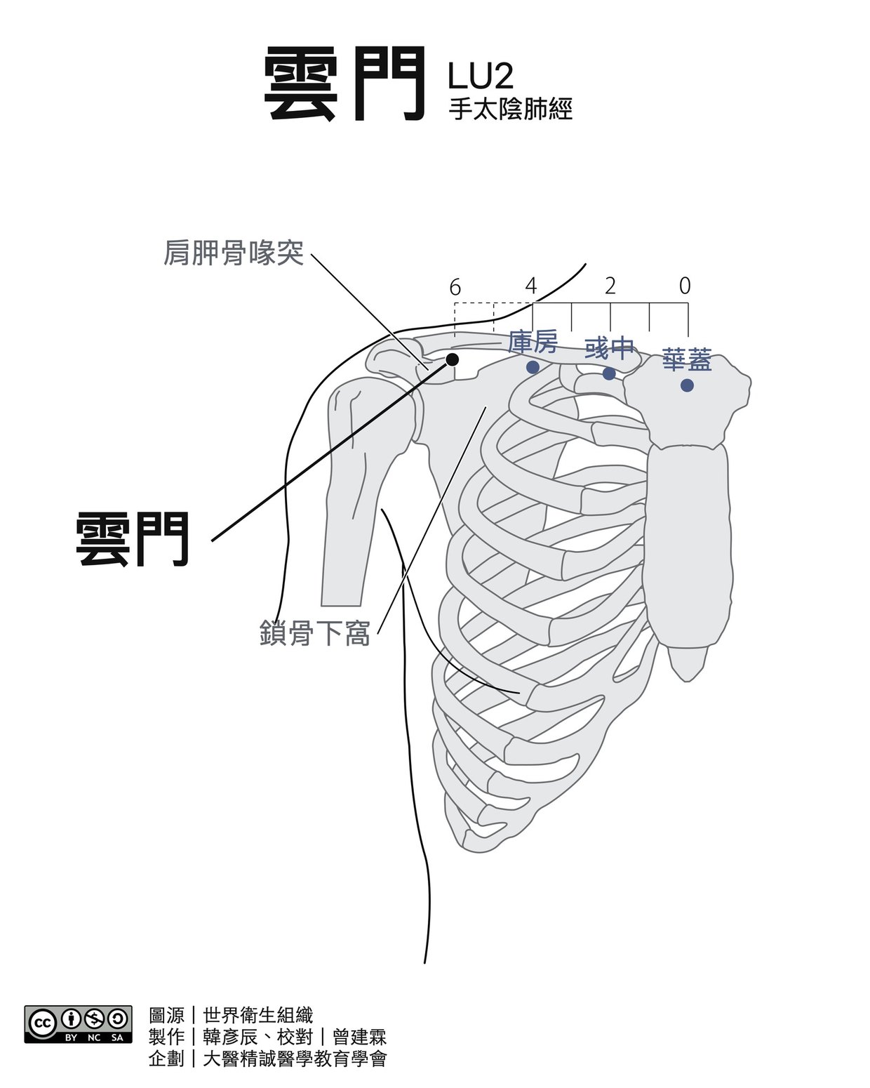 雲門 LU2 穴位圖 黑白版