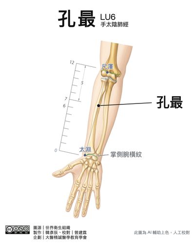 孔最 LU6