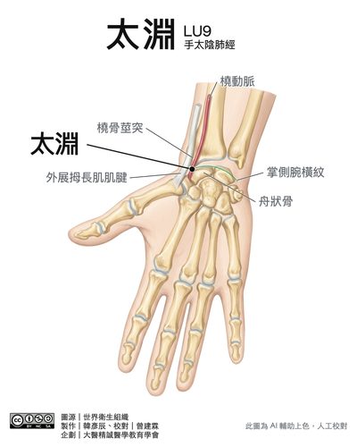 太淵 LU9
